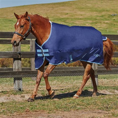 cheap horse rugs clearance.